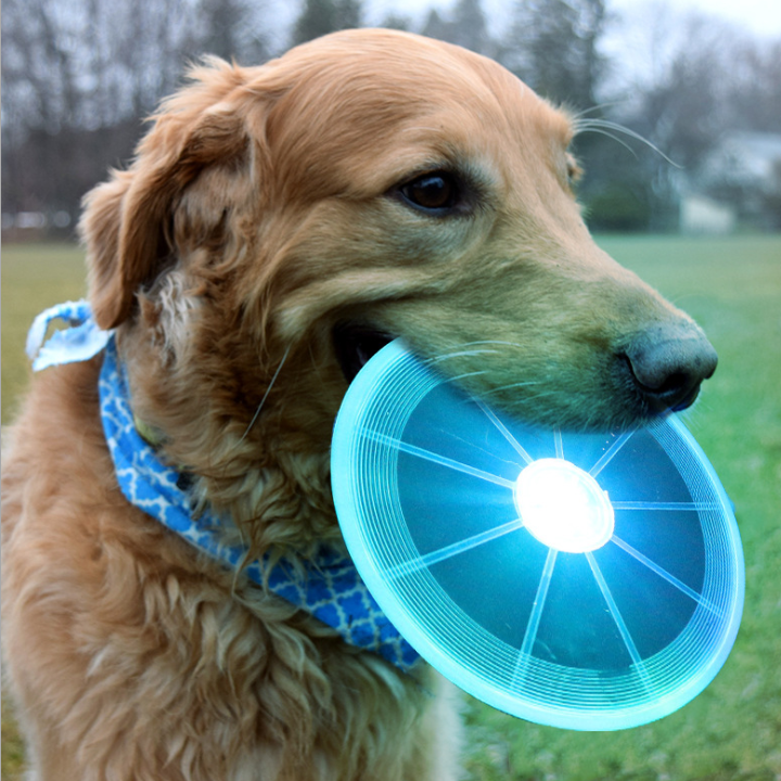 LED Frisbee