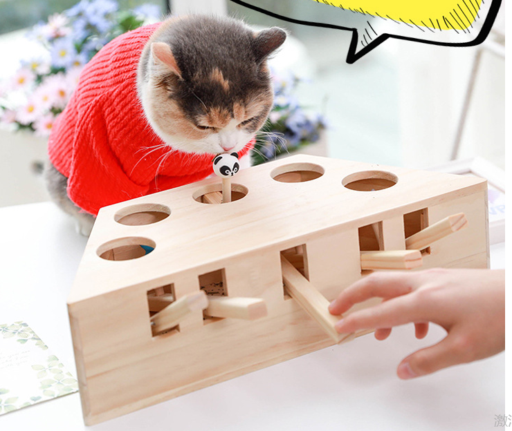 Wooden Pet Toy