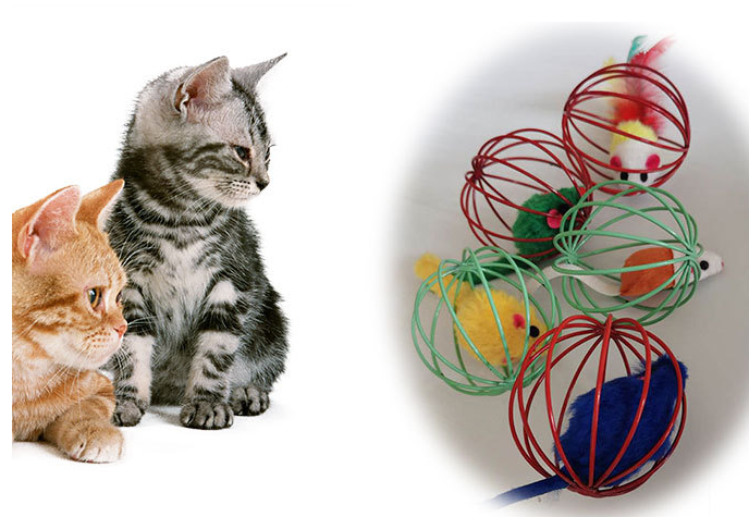 Cat Interactive Toys