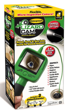 Lizard Cam by TV