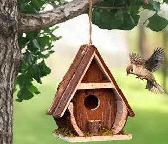 Wooden bird house