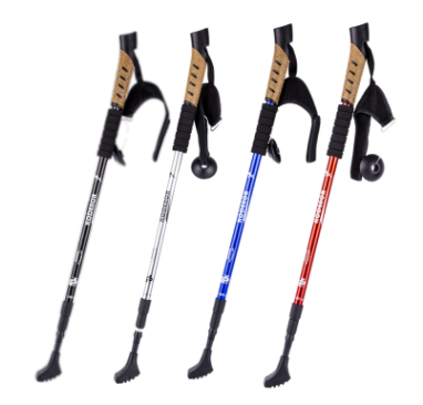 Set of 2 Walking Sticks