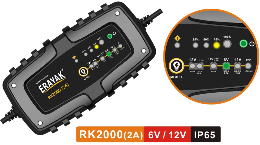 Intelligent battery charger with microprocessor control