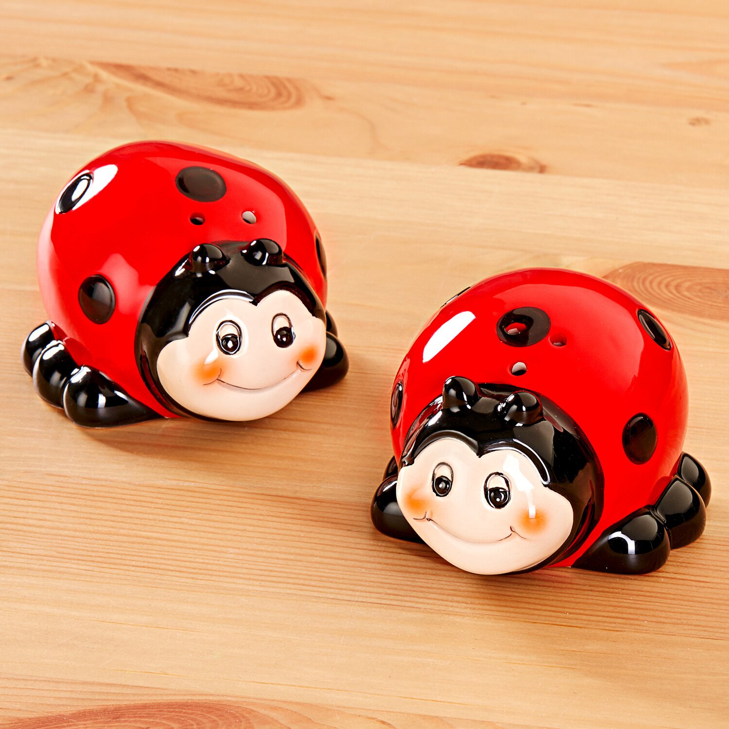 Ladybug Salt&Pepper